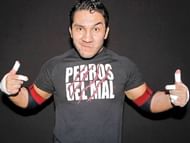 Image result for Perro Aguayo Jr. death certificate